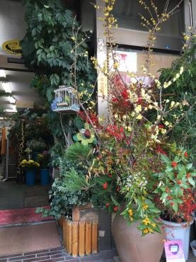 あけましておめでとうございます！「花の店カタカイ」（群馬県前橋市の花屋）のギャラリー写真